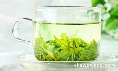 如何选择日照绿茶 从哪些方面可以辨别日照绿茶的品质