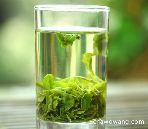 日照绿茶有什么作用 那么喝日照绿茶的不适人群是什么