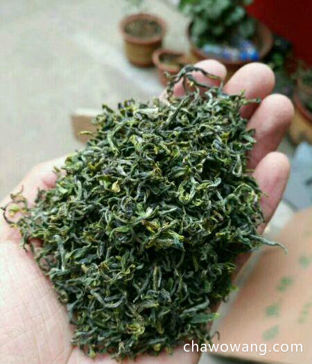 山东日照绿茶的价格多少钱 日照绿茶的市场价格如何