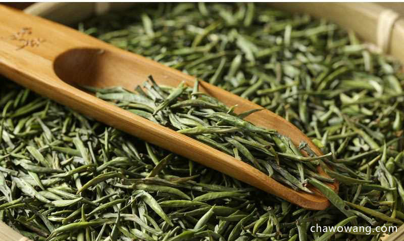 雀舌茶价格多少钱 雀舌竹叶青茶的品质特点