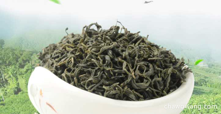 崂山绿茶怎样种植 崂山绿茶种植条件