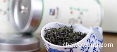 崂山绿茶简介 崂山绿茶的特点