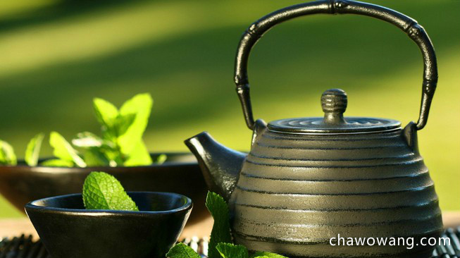 具体介绍绿茶品种崂山绿茶