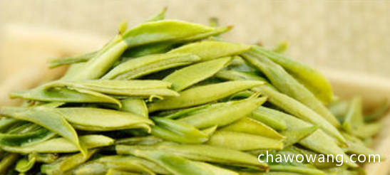 湄潭翠芽是绿茶吗 湄潭翠芽茶的等级划分 特级湄潭翠芽茶的特点