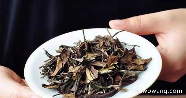福建寿眉茶属于白茶