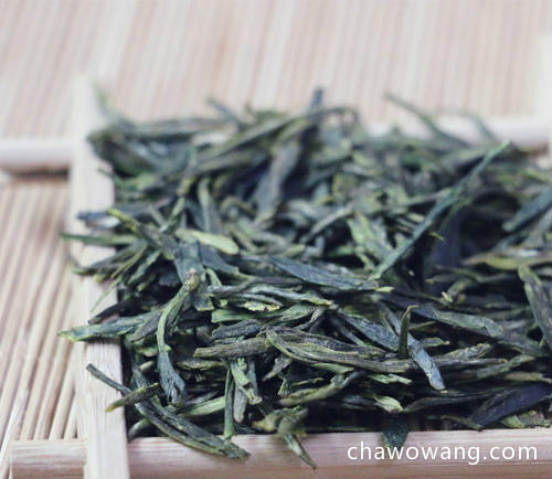 冲泡崂山绿茶茶叶适合用什么茶具呢