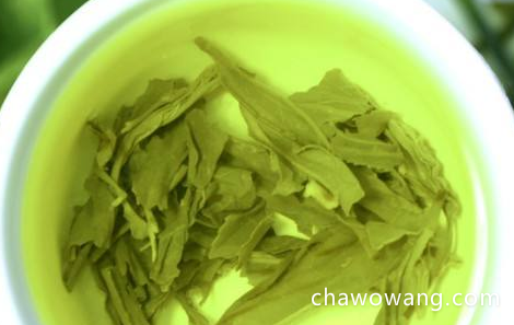 崂山绿茶的功效 。崂山绿茶有抗炎抑菌和减肥的作用吗
