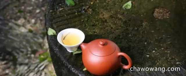 安吉白茶不是白茶 君山银针是黄茶