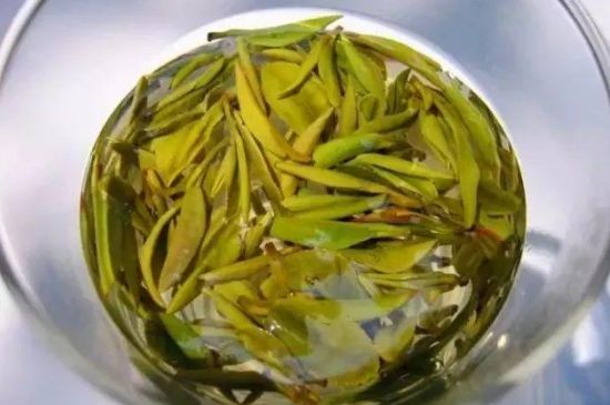霍山黄芽是十大名茶吗，十大名茶是哪几种茶？
