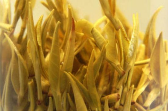 黄茶多少钱一斤，黄茶的价格是多少？