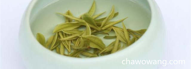 安吉白茶按形状分3种 安吉白茶等级特征