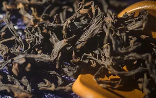 问茶｜为什么岩茶有的卖五百元，有的卖五千元？