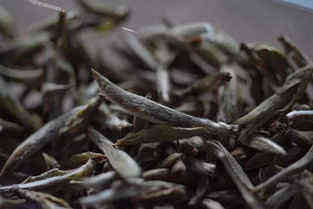 白茶多少钱一斤