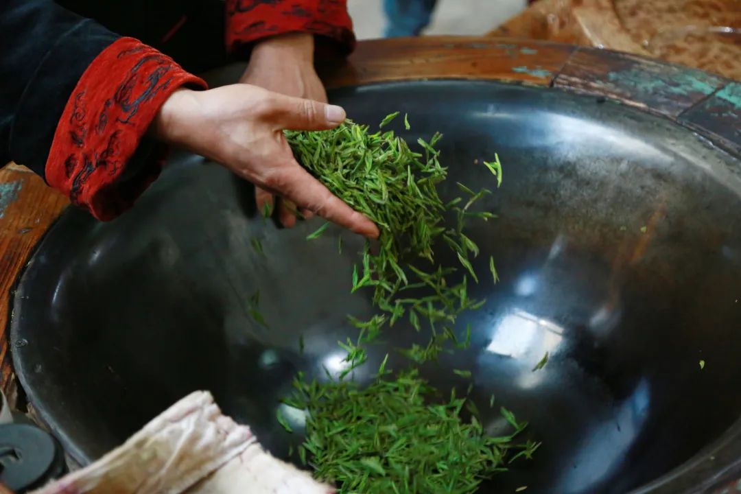 跟着中茶博 学习中国茶 | 色绿、香郁、味甘、形美,西湖龙井飘香的日子快到了!