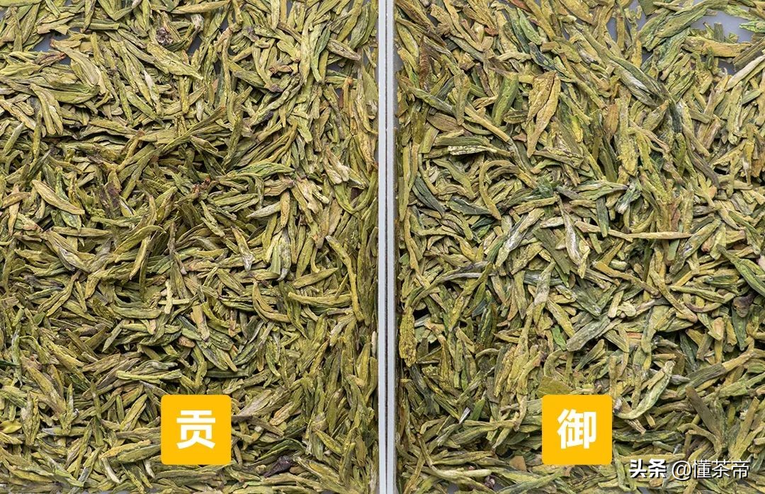 龙井评测：这两款市面常见的龙井茶，究竟谁更好？爱龙井的速看