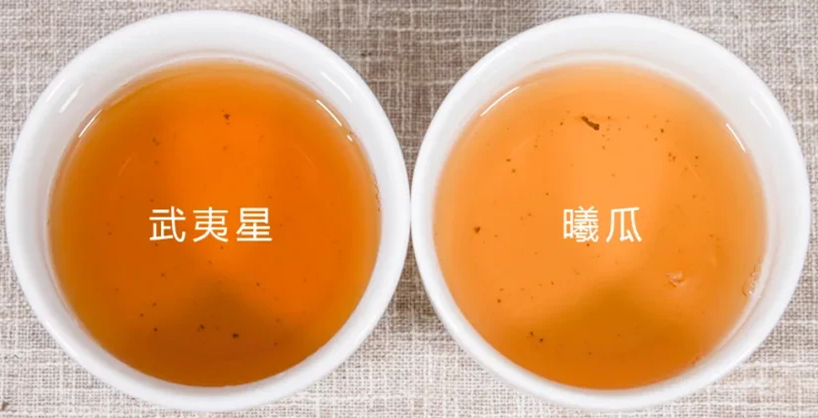 大红袍评测 | 两款线上畅销口粮茶PK，你买对了吗？