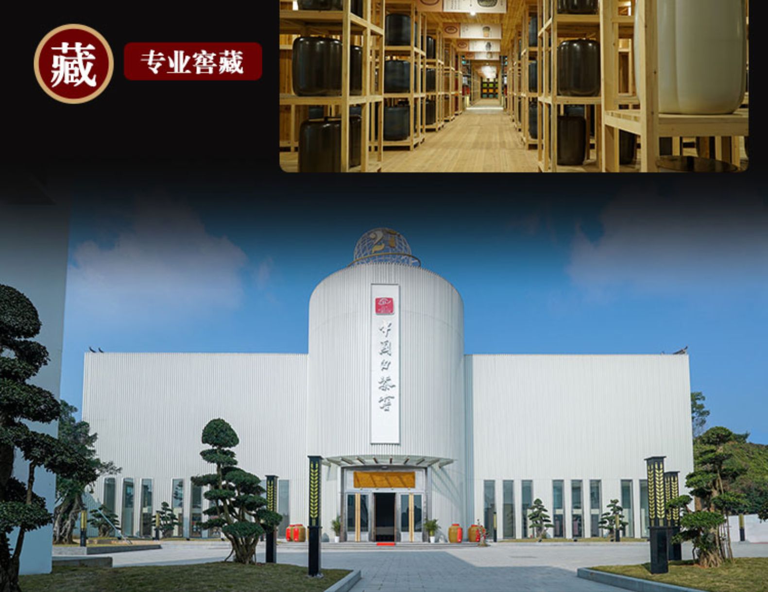 六妙窖藏老观音十年老白茶的价格表2021年最新