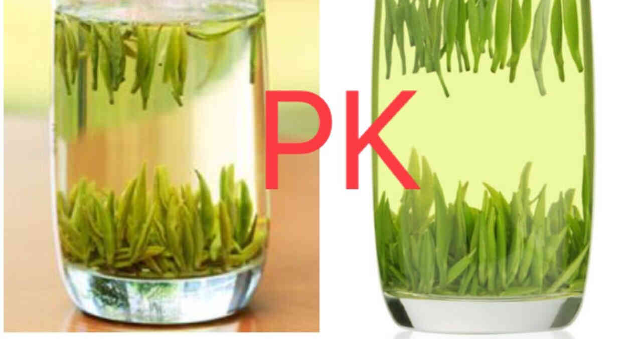 特级绿茶大PK，峨眉雪芽VS湄潭翠芽，小壶仙告诉你哪款绿茶更好？