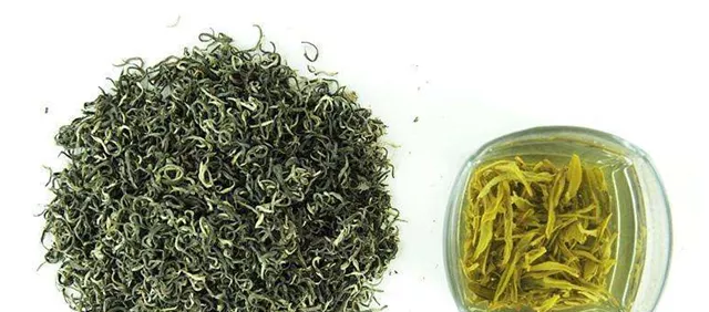 云雾茶属于红茶还是绿茶呢