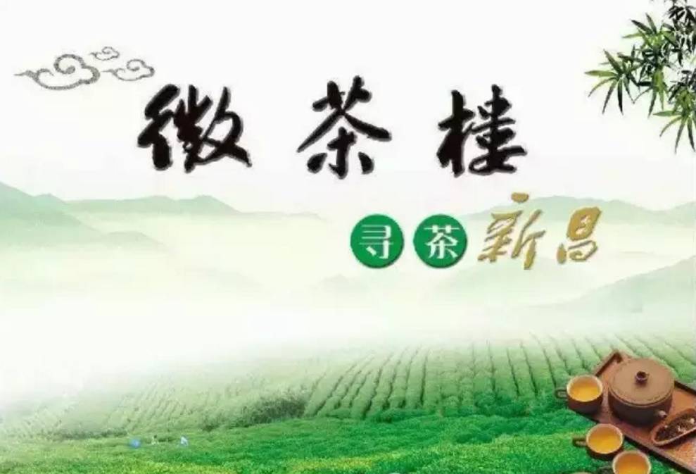 浙江绿茶，品行天下系列报道五丨大佛龙井：实施品牌战略 促