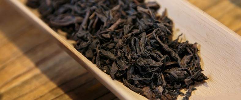 正宗肉桂茶多少钱一斤（牛肉马肉慧肉分别多少一斤）