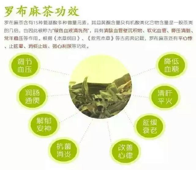 罗布麻茶叶的喝法饮用流程