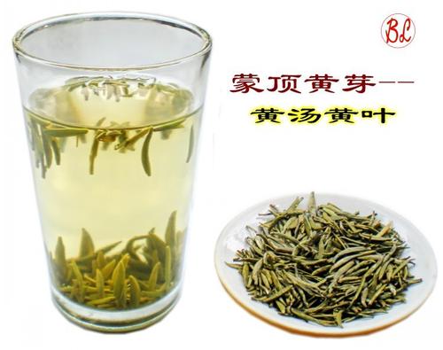 蒙顶黄芽品牌，中国十大名茶品牌