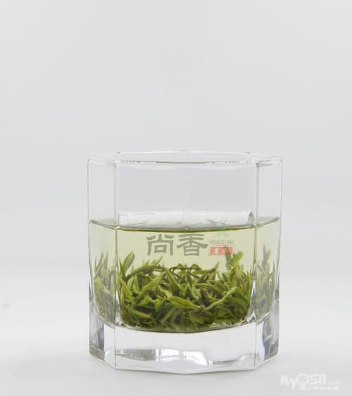 金坛雀舌茶是什么茶