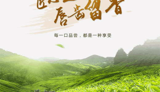 福安坦洋工夫茶企品牌