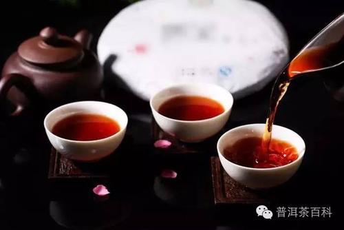 普洱茶生茶和熟茶哪个减肥