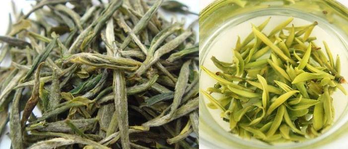 君山银针属于绿茶还是黄茶