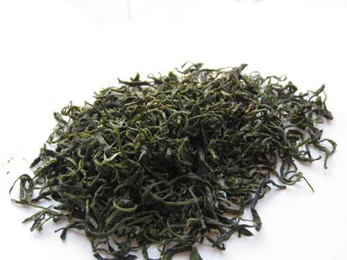400一斤的崂山绿茶