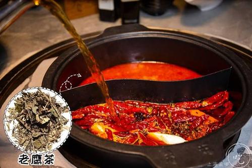 老鹰茶煮火锅的方法窍门