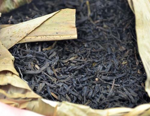 藏茶 安化黑茶