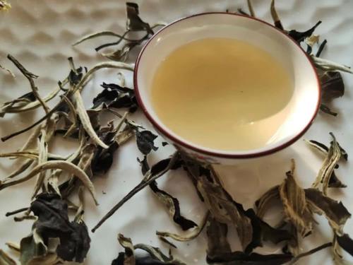 为何老白茶具有药用功效