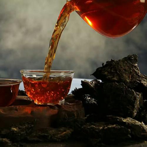 秦御茯茶和普洱茶的区别是什么