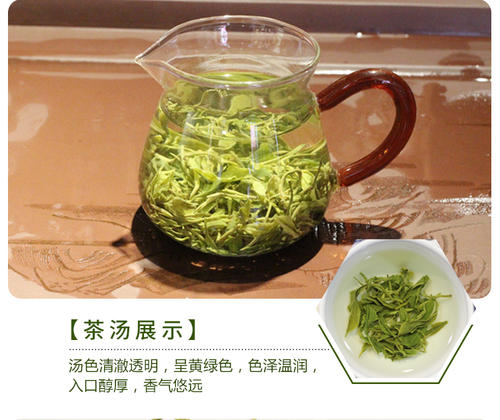 喝崂山绿茶