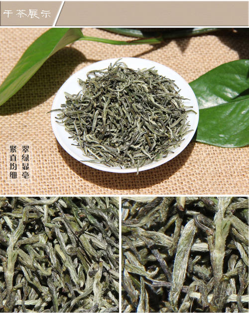 阳羡雪芽属于什么茶种_茶沃网