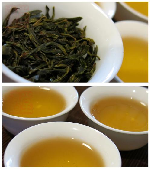 凤凰单丛茶是什么茶