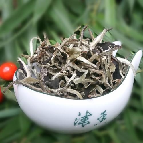 普洱熟茶与生茶保质期