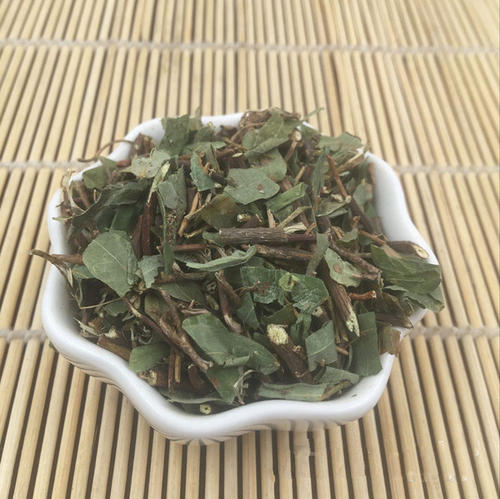 大黄茶对黄疸