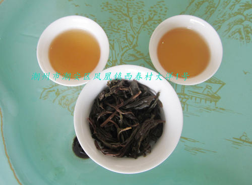 凤凰单丛茶和水仙老枞