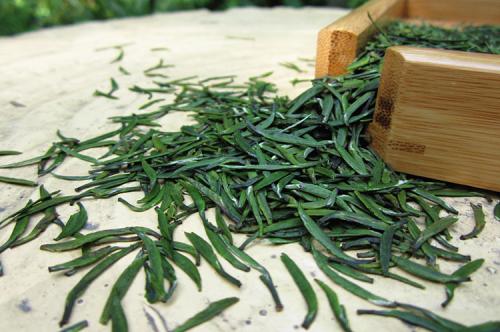 金坛雀舌是绿茶吗