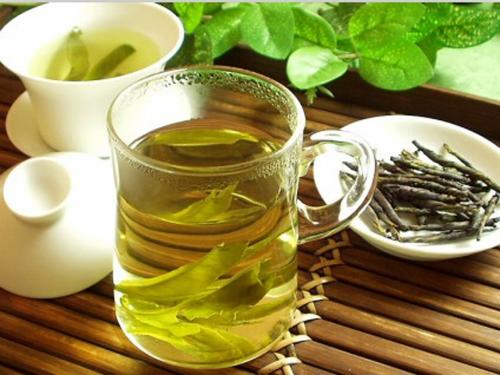小叶发酵苦丁茶是寒性的吗