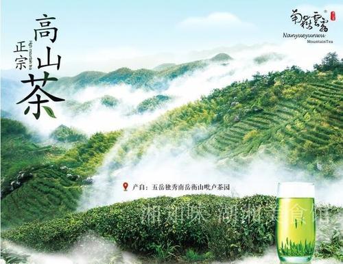 南岳云雾茶生产环境