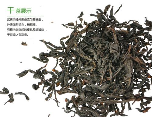 武夷红方肉桂是什么茶