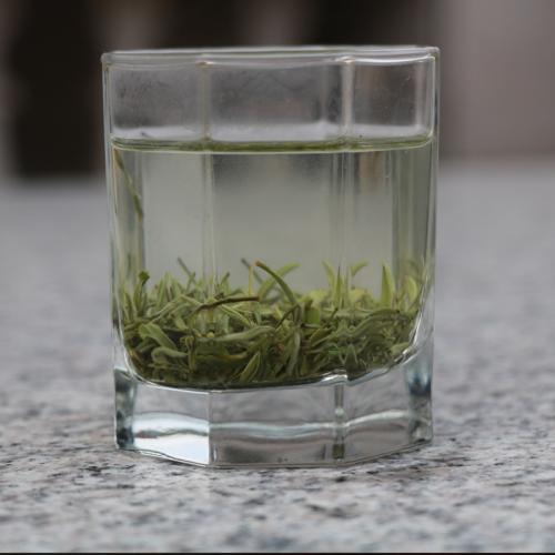 阳羡雪芽是一种绿茶