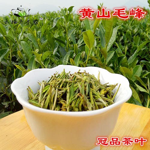 黄山毛峰茶所透出的茶韵是什么