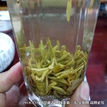 敬亭绿雪茶如何泡喝