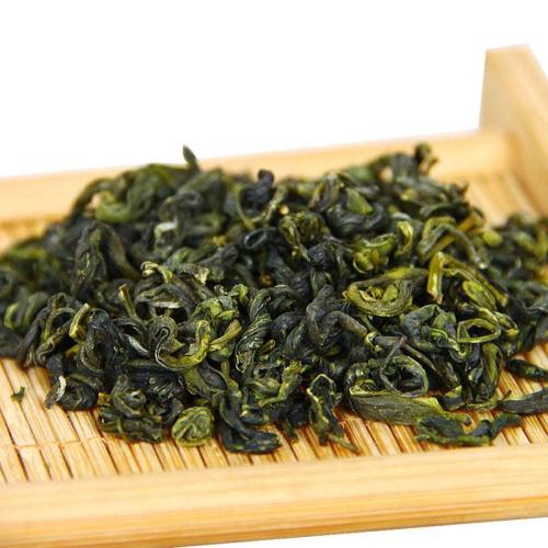 崂山绿茶是什么茶叶